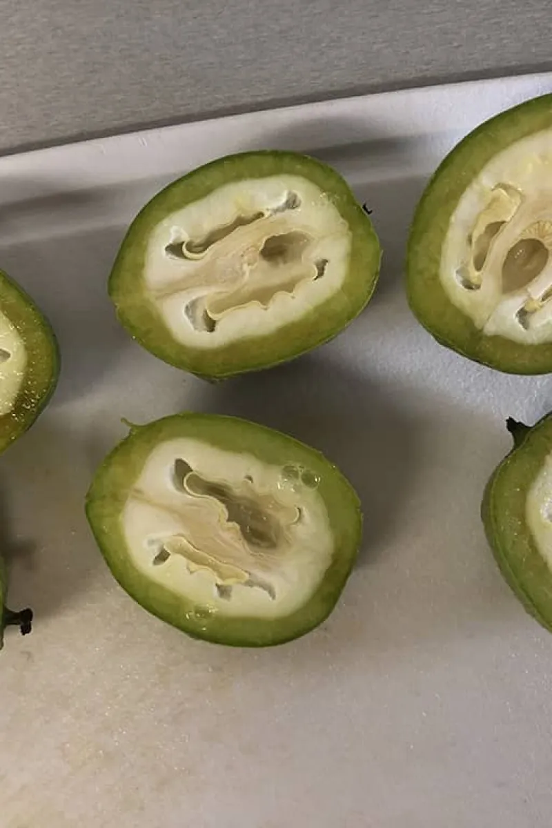 Cut open young walnut