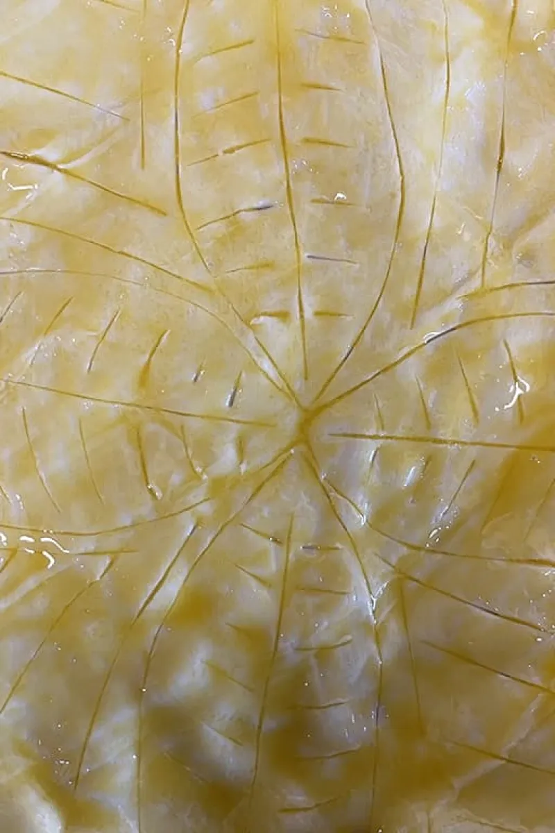 Galette des rois (French epiphany cake) pattern