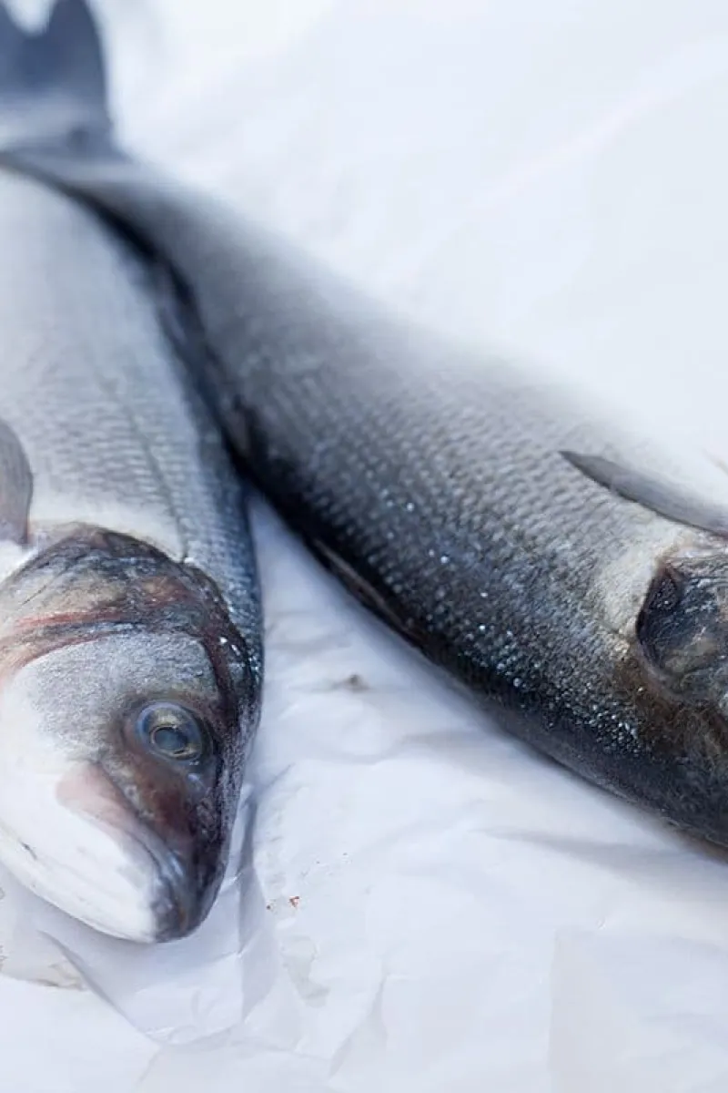 Fresh sea bass