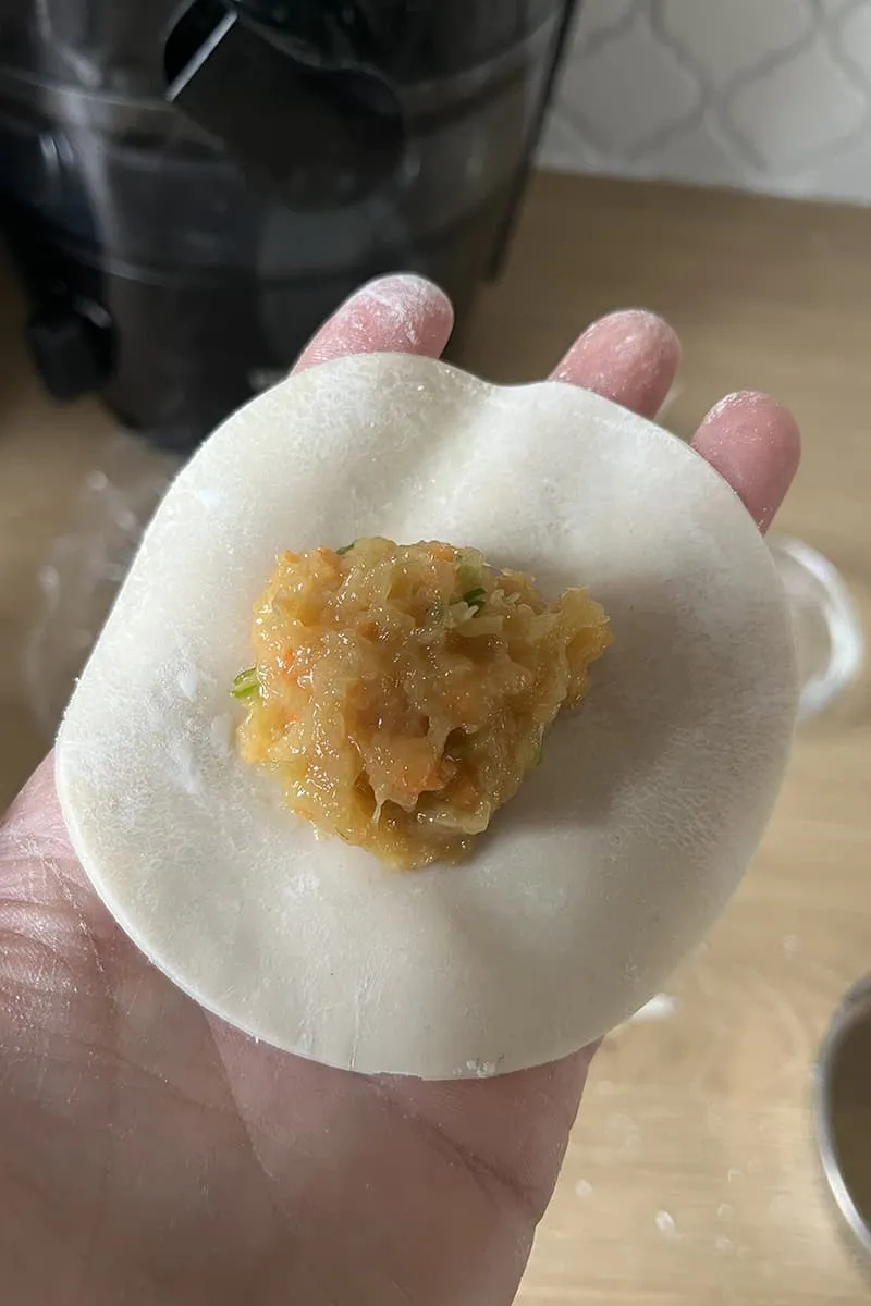 Chinese Chicken Dumplings preparation - step 1