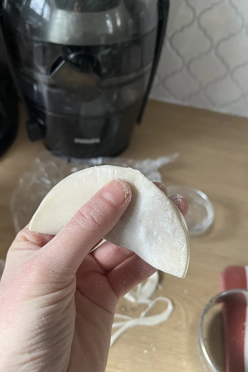 Chinese Chicken Dumplings preparation - step 2