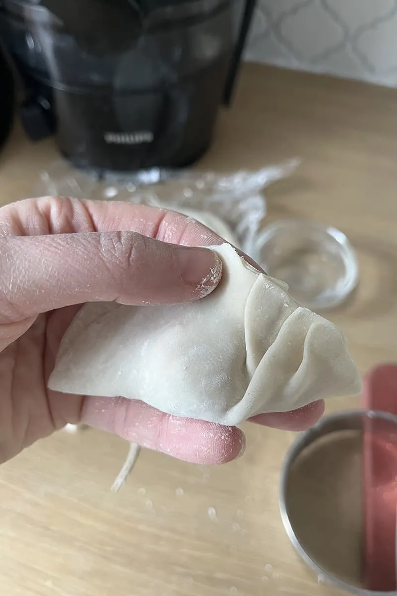 Chinese Chicken Dumplings preparation - step 3