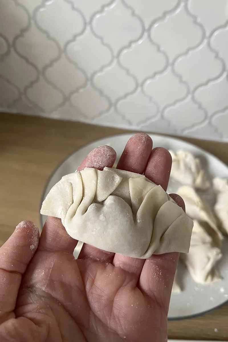 Chinese Chicken Dumplings preparation - step 4