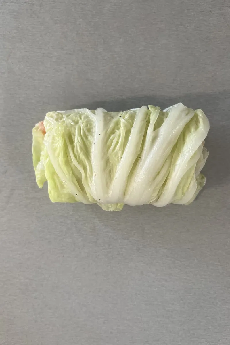 Chinese spring rolls with turkey preparation - step 2