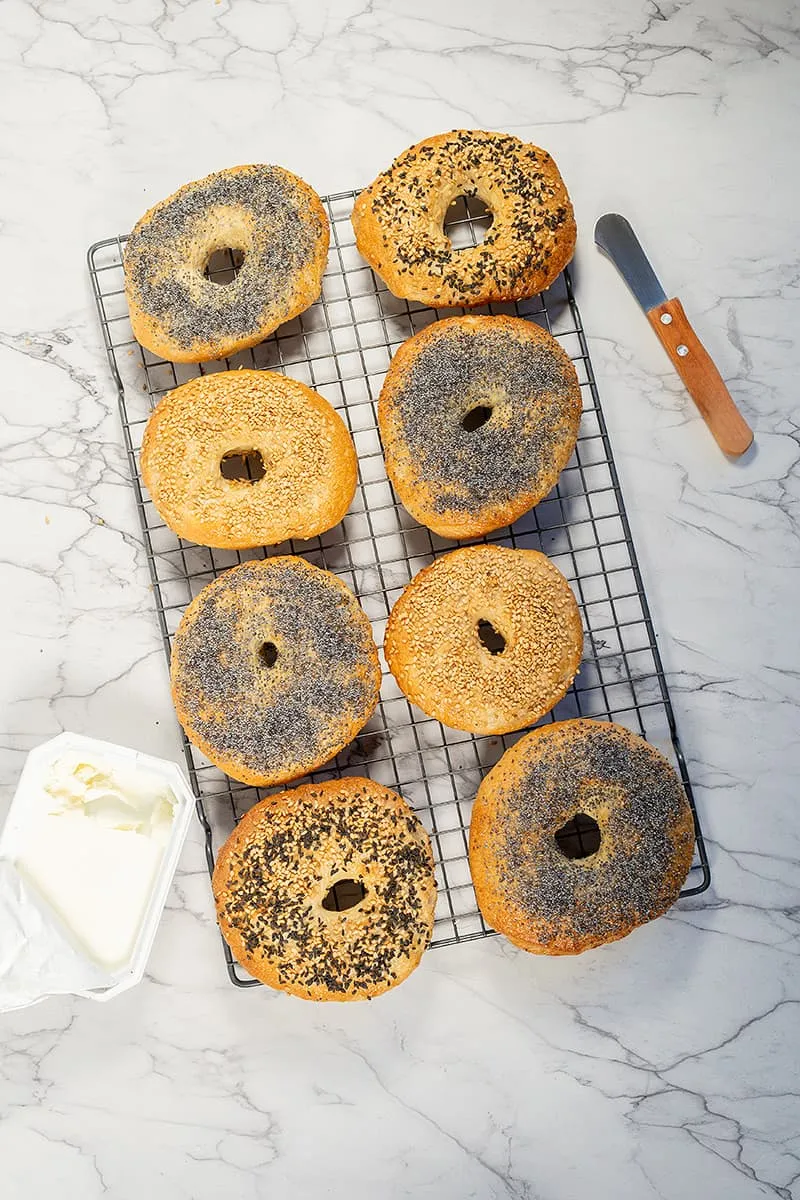 Homemade bagels - Easy Basic Recipe