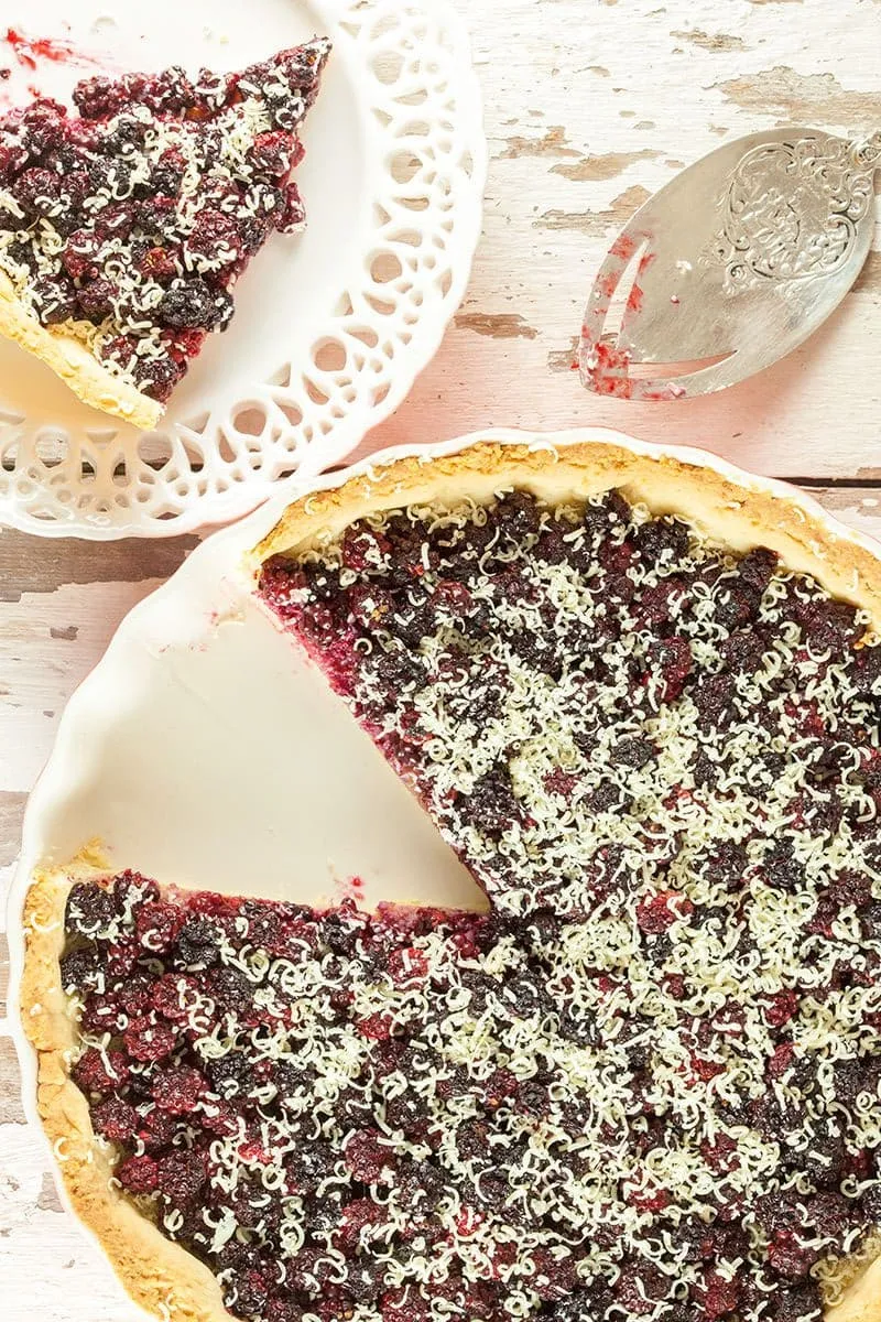 Wild blackberry pie