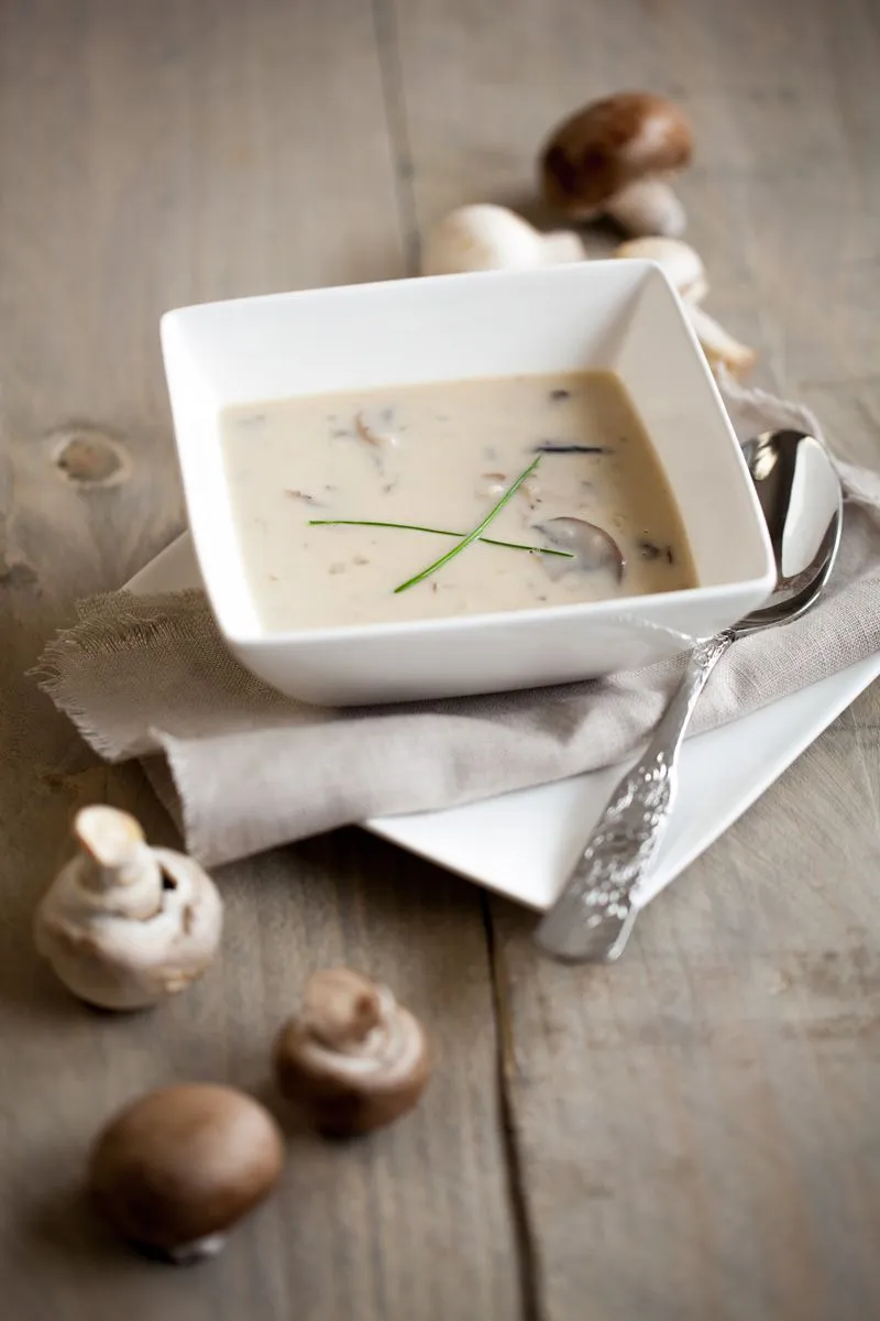 Cream of mushroom soup