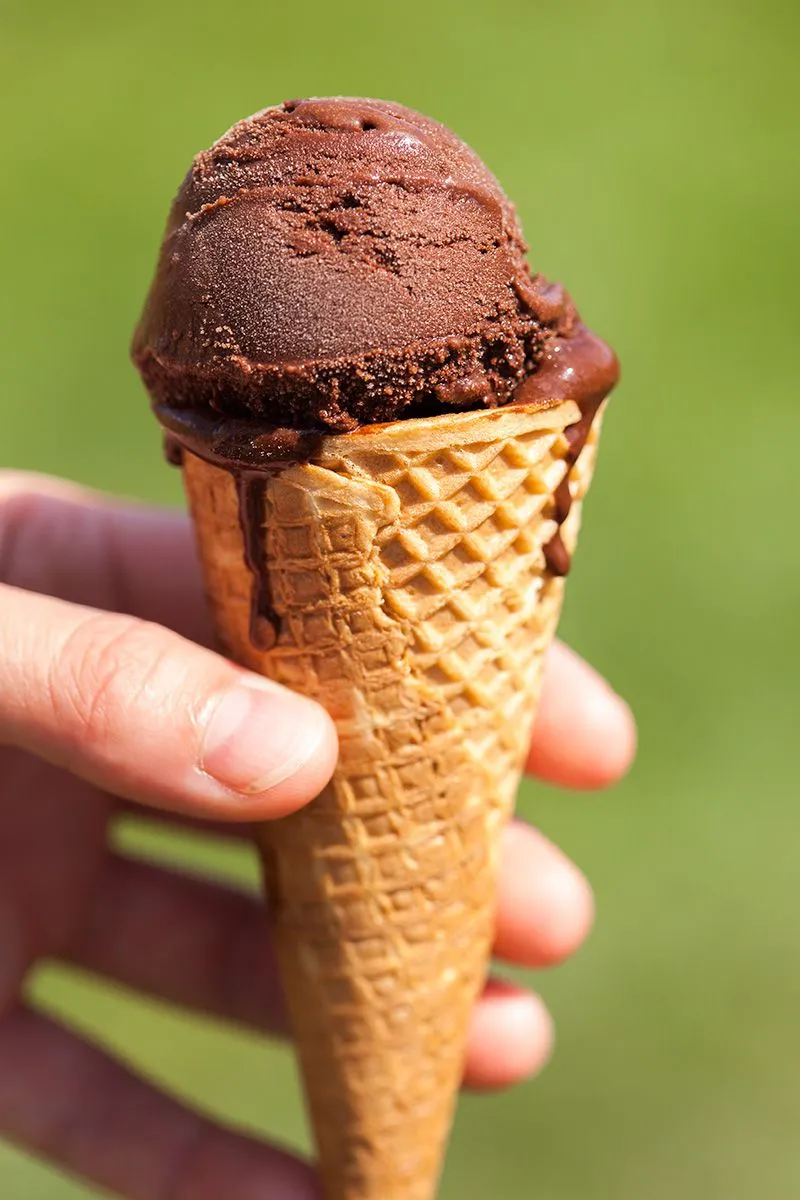 Dark chocolate sorbet