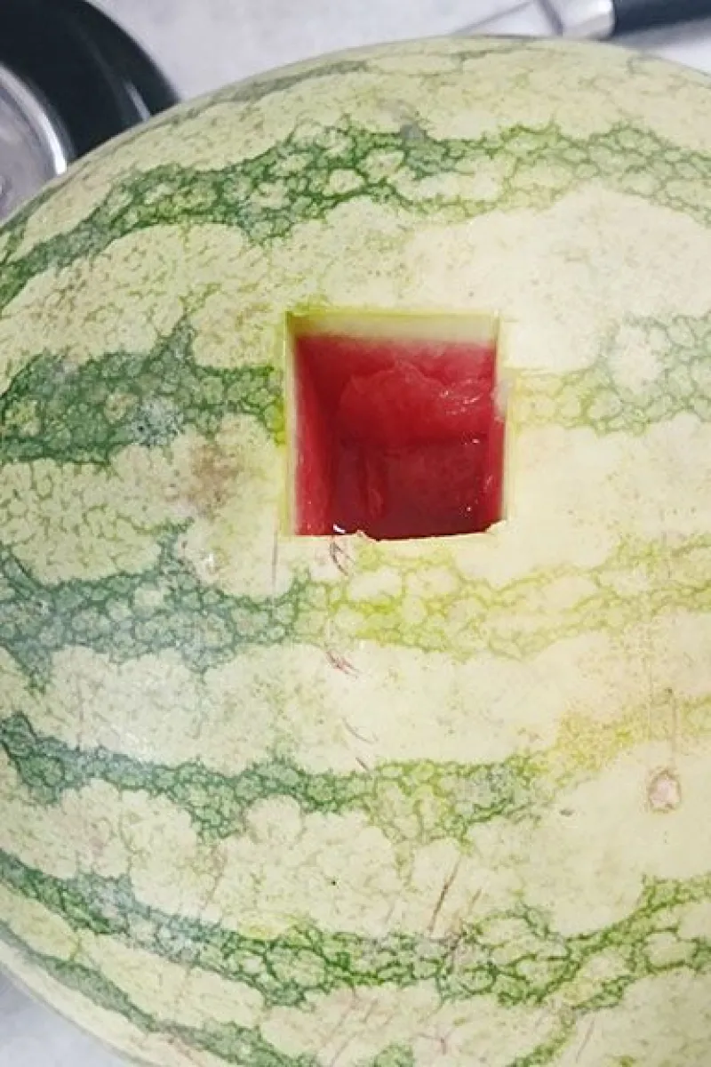 Drunken watermelon liquor with the square cut out