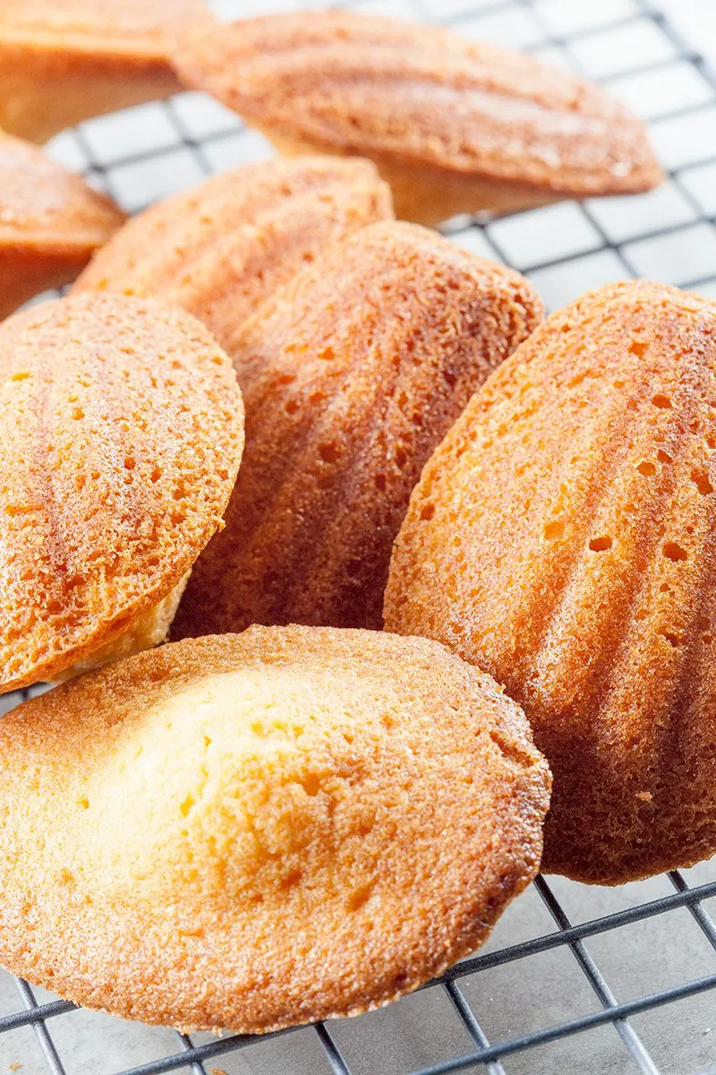 Classic French madeleines