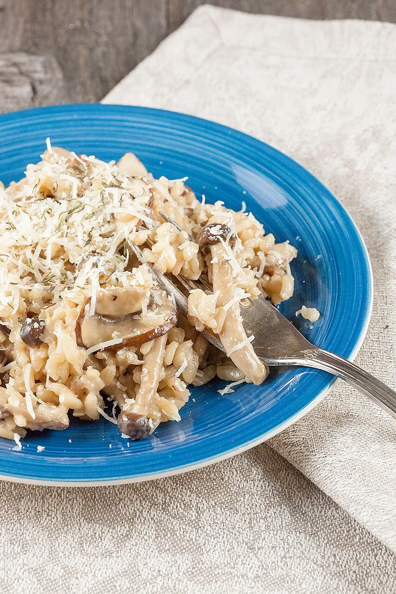 Mushroom risotto