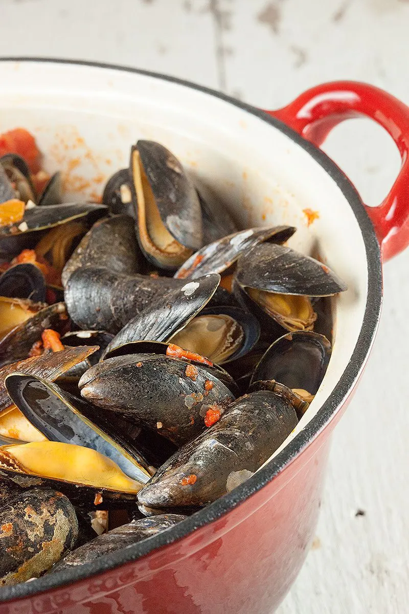 Italian mussels Taranto