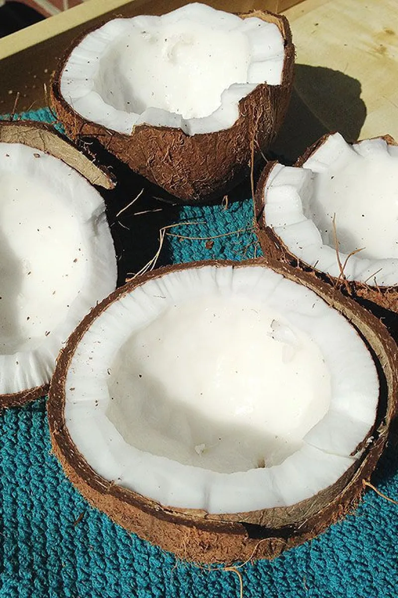Fresh opened coconuts
