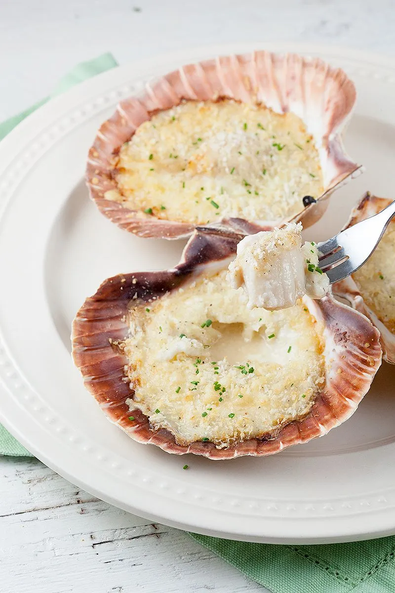 Fresh scallops in bechamel sauce