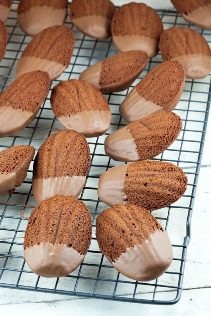Chocolate madeleines