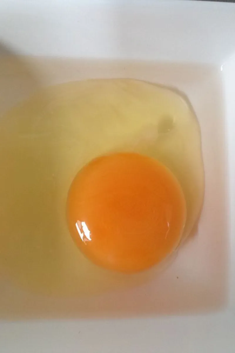 Egg in vinegar