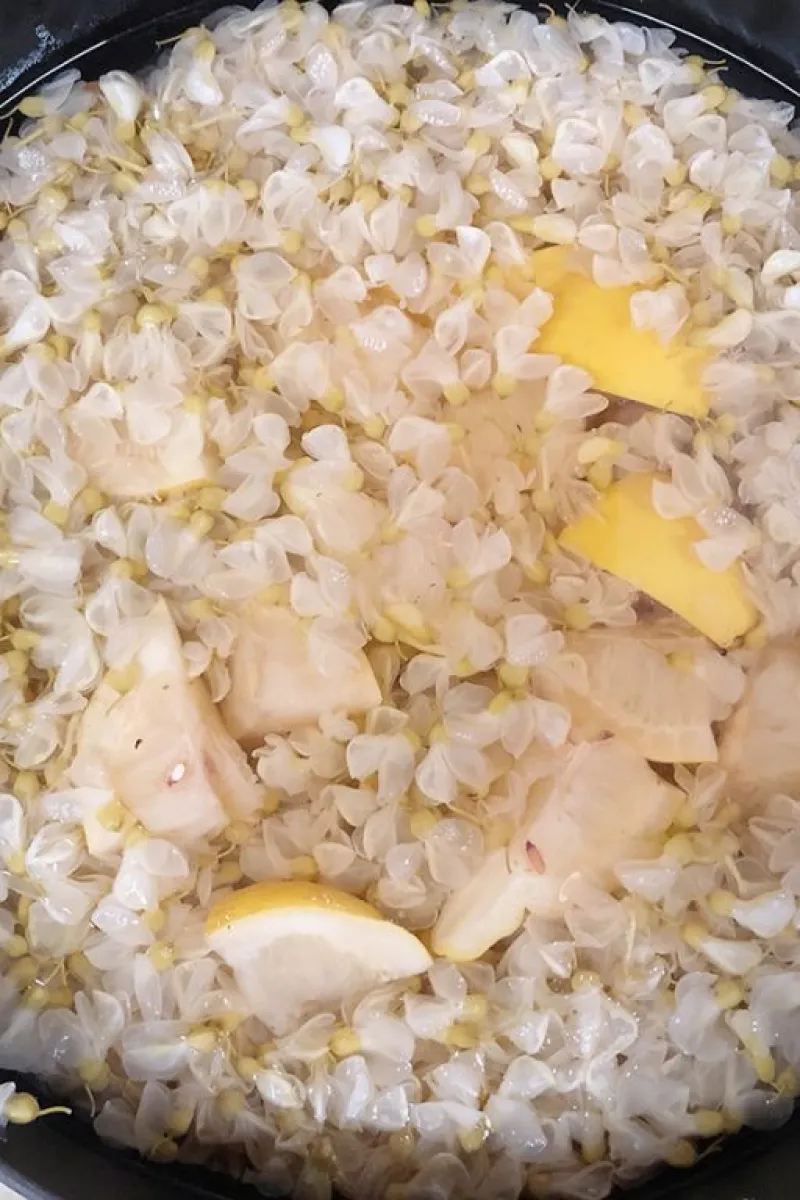 Msking acacia flower syrup 2