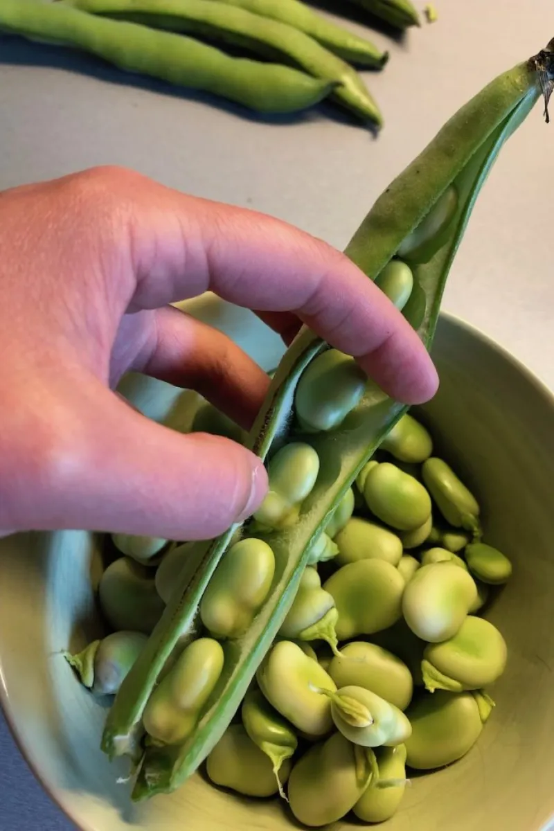 Pod the beans