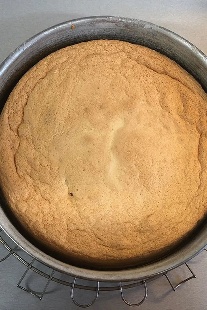 Jam sponge cake out of the oven