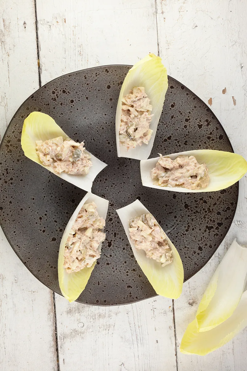 Tuna and endive boats
