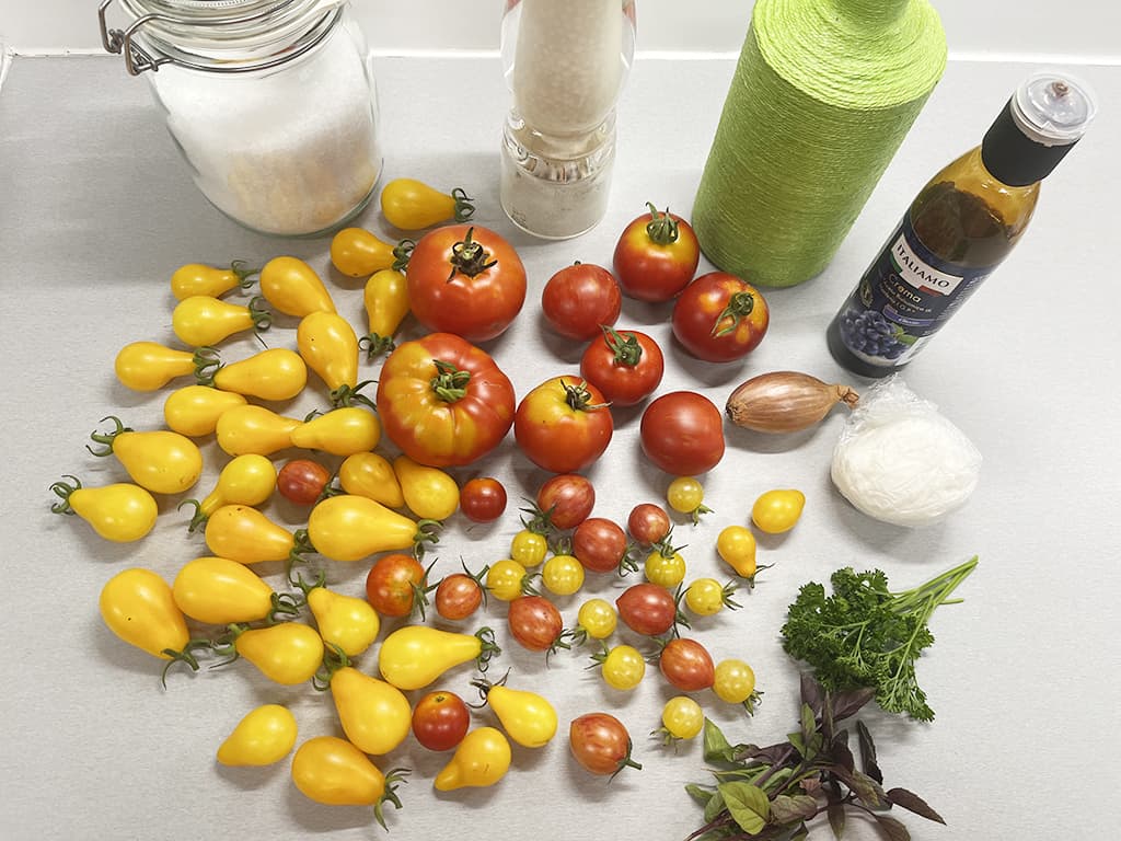 Tomato and mozzarella salad ingredients