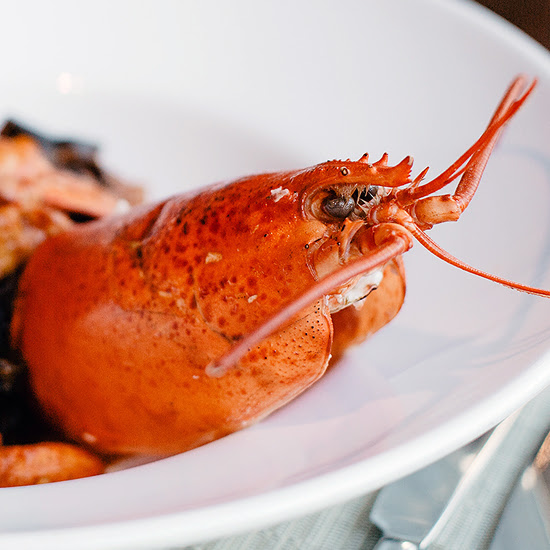 From Classic to Creative: 3 Ways to Prepare Lobster Like a Pro