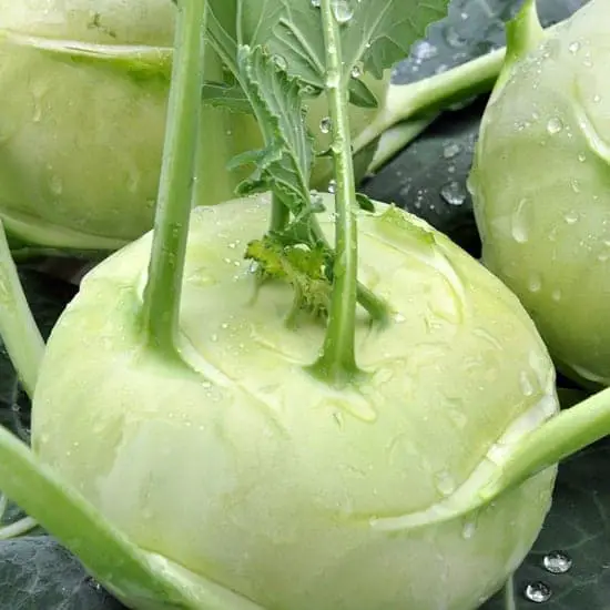 What is the difference between kohlrabi and swede?