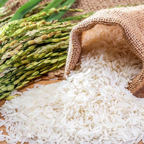 Why is Rice a Staple Food in Asia