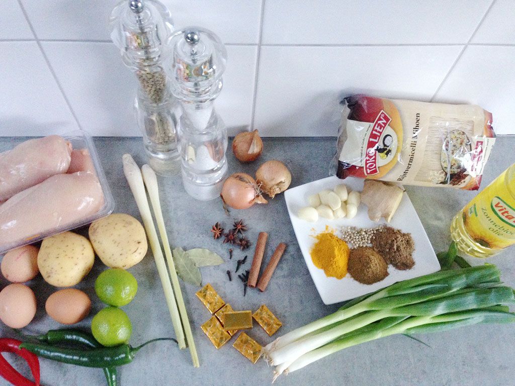 Malaysian chicken noodle soup ingredients