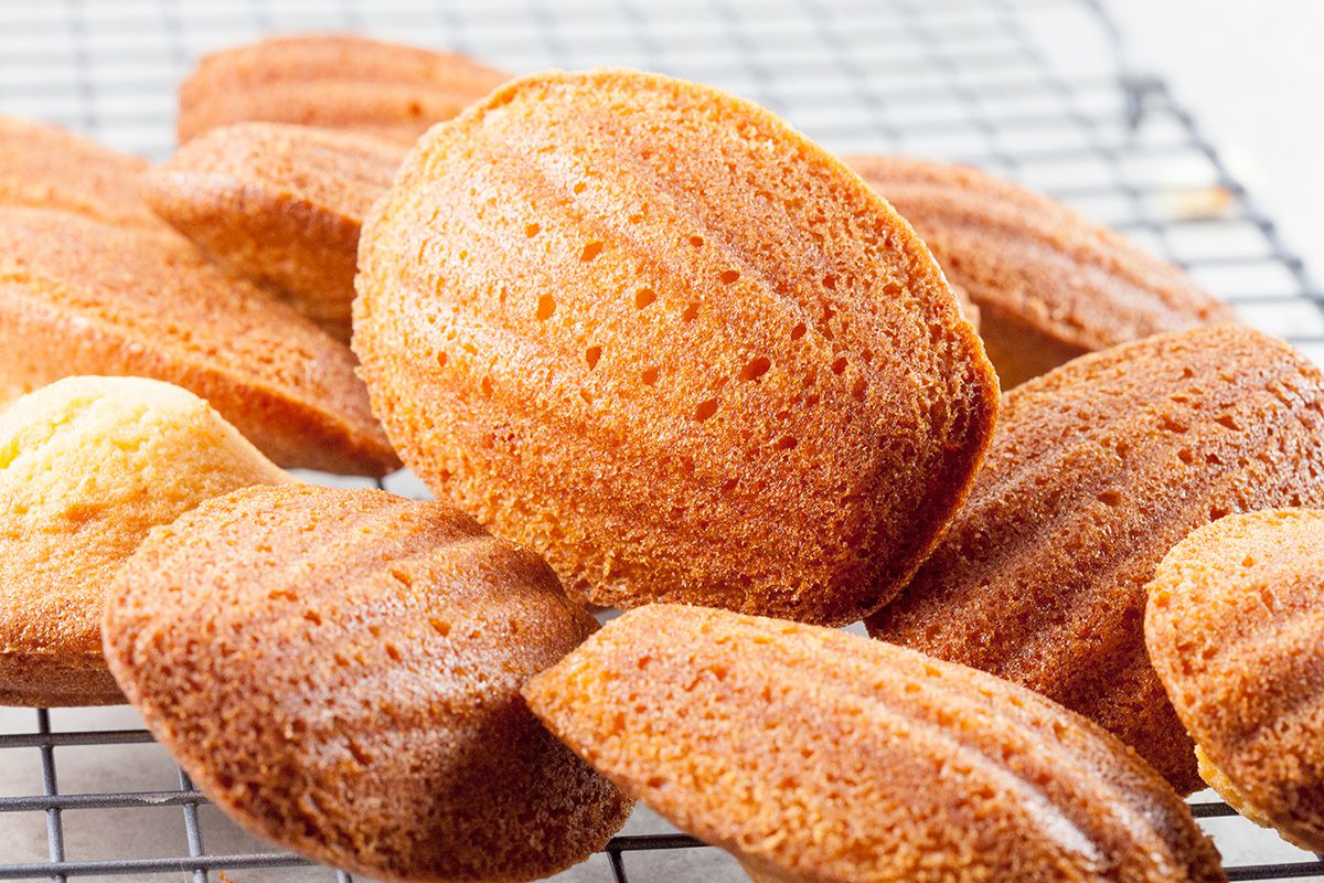 Classic French madeleines