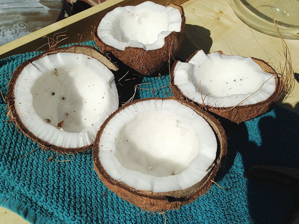 Fresh opened coconuts