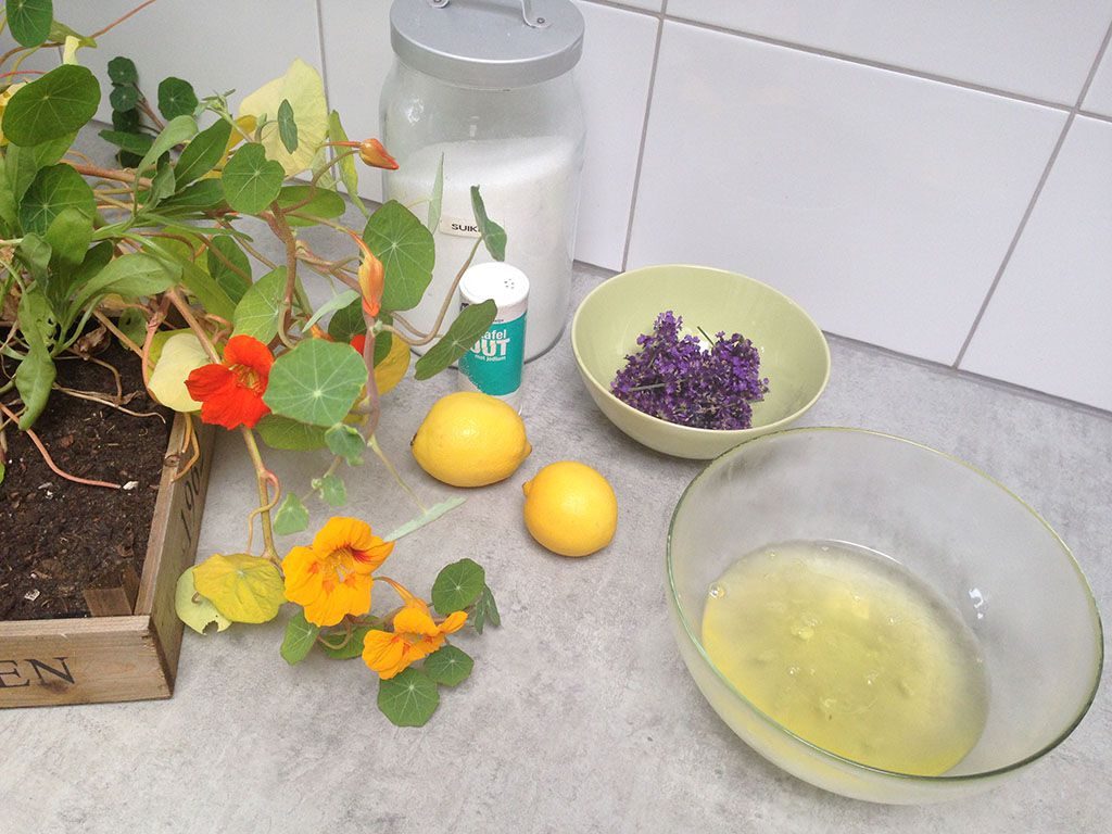 Lemon Pavlova with lavender syrup ingredients