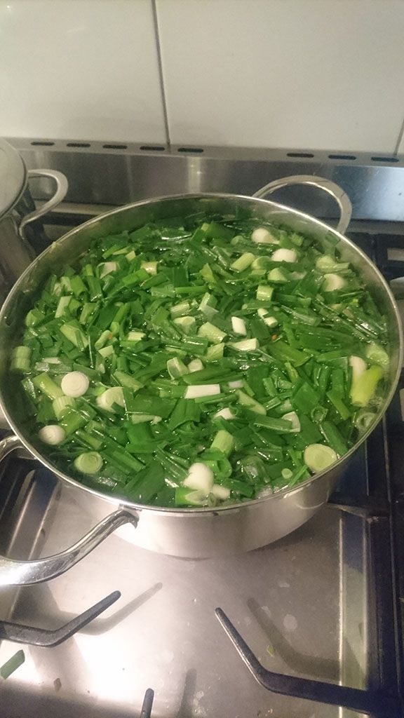 Cooking the spring onion soup