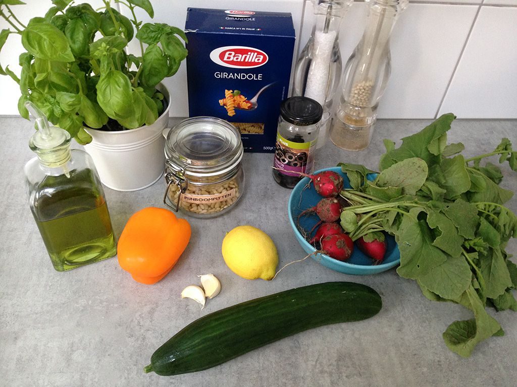 Pasta salad with cucumber and basil pesto ingredients